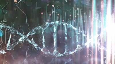 Alquimia para la Ascensión del Alma con Theresa Bullard