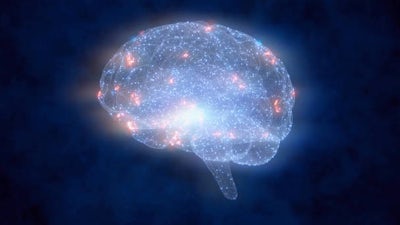 Study Shows Consciousness May Be Quantum in Nature