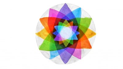 Stay Inspired: Activate Your Full Human Potential with Dr. Sue Morter