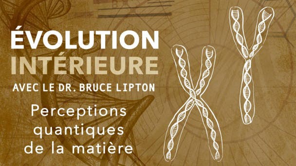 Perceptions quantiques de la matière