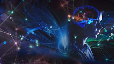 The Science of Precognition with Julia Mossbridge