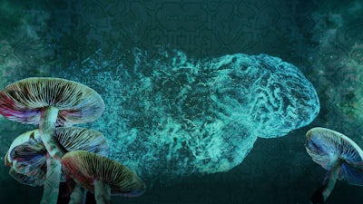 La psychologie psychédélique