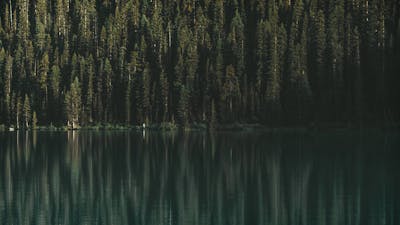 Choose Joy: Audio Meditation