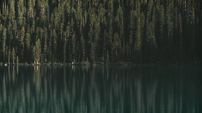 Choose Joy: Audio Meditation