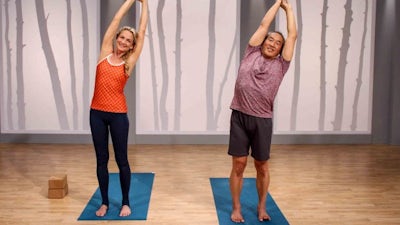 Foundation: Open Twists and Backbends