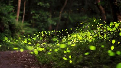 Transforming Through Illness