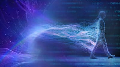 NSC: Organische Portale der Transformation