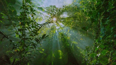 Awareness Through Grief: Audio Meditation