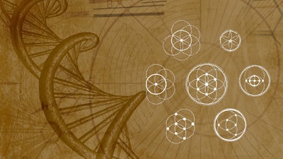 Fractales harmonieuses