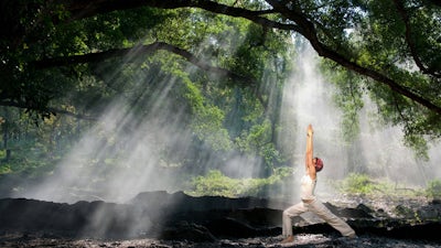 Gerald Cohen on The Path Home: What Your Body Wants You to Know