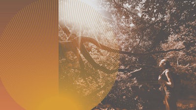 Je suis : la nature divine