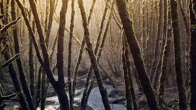 Love Yourself, Love the World: Audio Meditation