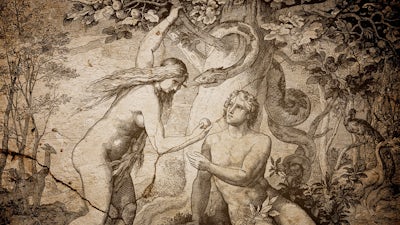 Auf der Suche nach dem Garten Eden