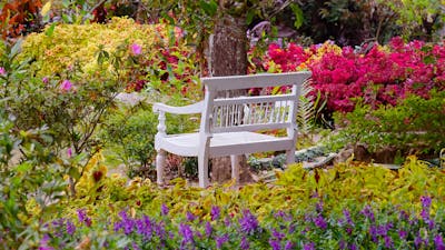 Dein Garten der Selbstliebe