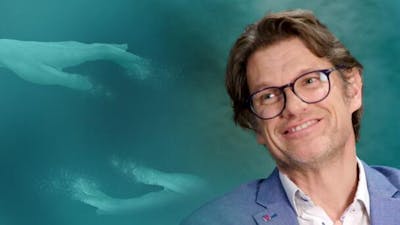 Die Neurowissenschaften des Bewusstseins