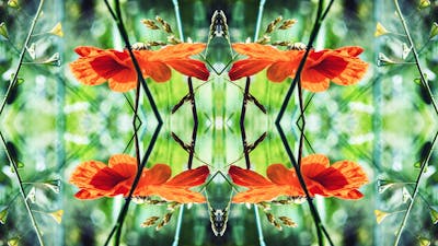 Lucy Wyatt on Approaching Chaos