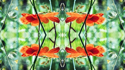 Lucy Wyatt on Approaching Chaos