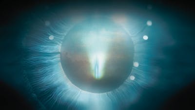 Unraveling a Life of ET Contact