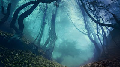 Asediado por Pie Grande, con Christine Parker