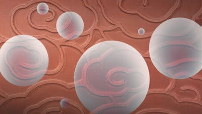 Temple of Time Travel