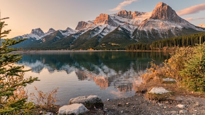 Life Partners - Meditation 