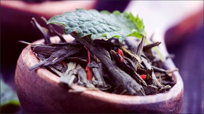 Dental Herbalism with Linda Straub-Bruce