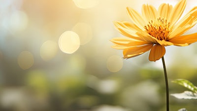 Acceptance - Meditation 