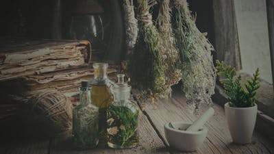 Heilkräuter & Heilige Medizin