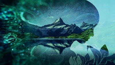 Reconecta con la consciencia de Gaia