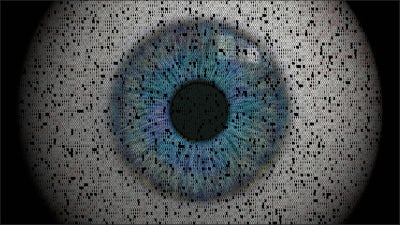 The Rise of Big Brother's Brother 