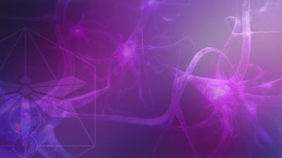 Nervous System Regulation