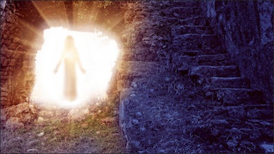 The Lost Art of Resurrection with Freddy Silva