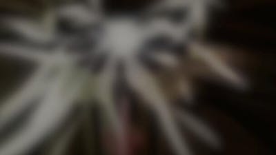 Brigitte Reitz : contacts avec l’au-delà