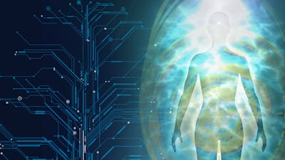 Transcendence & the Pineal