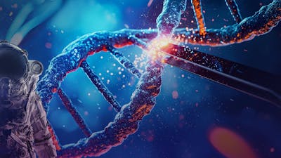 Black Team P3 Breeding Project