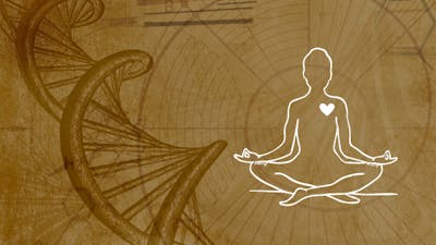 Gesundheit und Bewusstsein