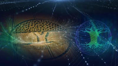 Agrogramas Abiertos a la Interpretación