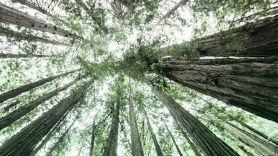 Embracing Unity