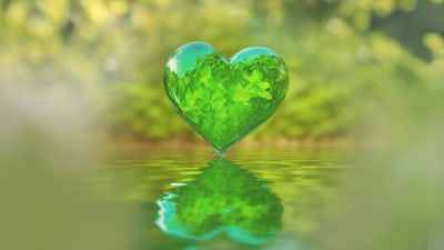 Los campos electromagnéticos