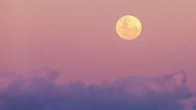 Into Bed: Audio Meditation