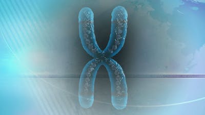 Telomeres and Hyperbaric Oxygen