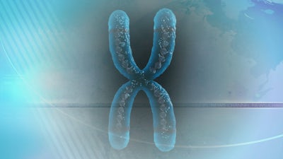 Telomeres and Hyperbaric Oxygen