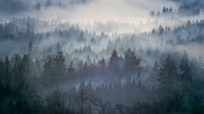 Peaceful Sleep: Audio Meditation