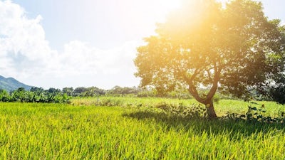 Una conversación difícil