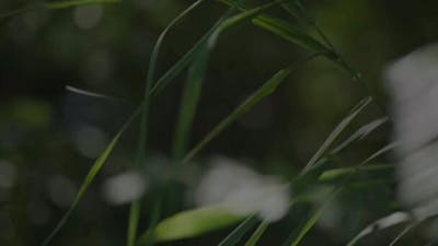 Gilles Delieuze : Changer de regard