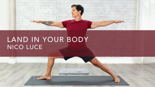 Land In Your Body