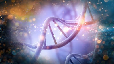 Se libérer de ses gènes