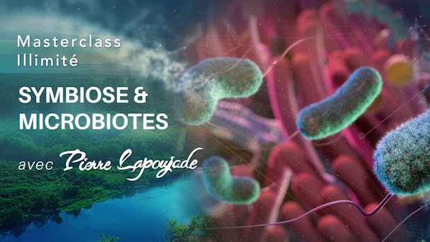 Symbiose & microbiotes : le secret de la santé globale.
