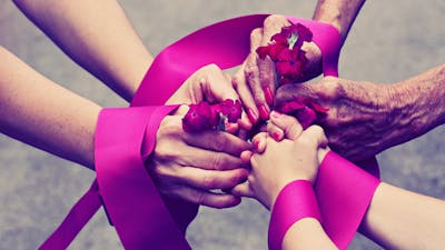 Visión completa de la formación