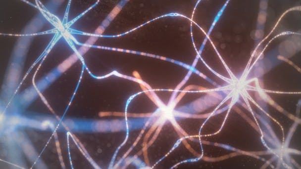 Proof of a Mindful Universe with Eben Alexander